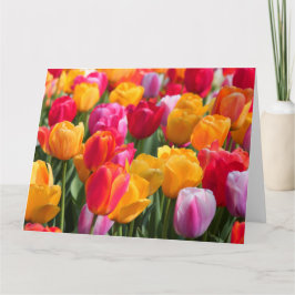 Primavera grande de la tarjeta en el Gardens1