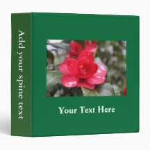 Primavera muy hermosa, flor azalea rosa de verano.