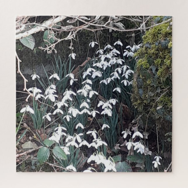 Primavera Nieve gotas rompecabezas (Vertical)