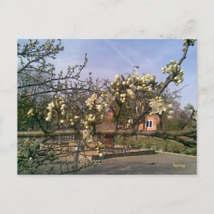 Primavera postal