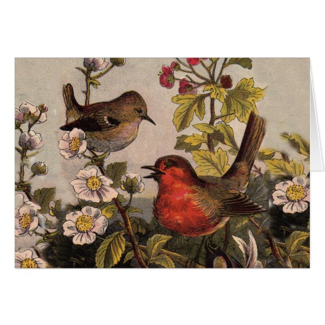 Primavera Robin Birds Red Birds (Anverso (Horizontal))