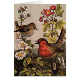 Primavera Robin Birds Red Birds