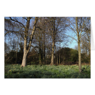 Primavera temprana en Bute Park, Cardiff