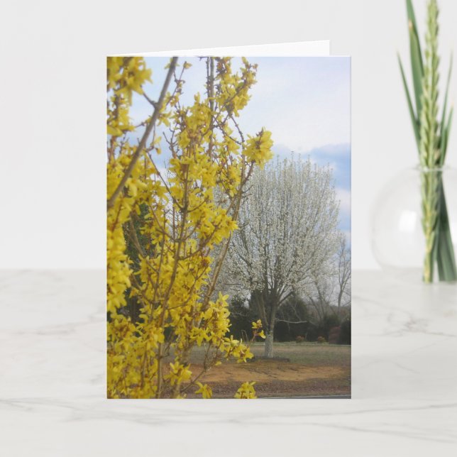 Primavera temprana - Tarjeta de saludo (Anverso)