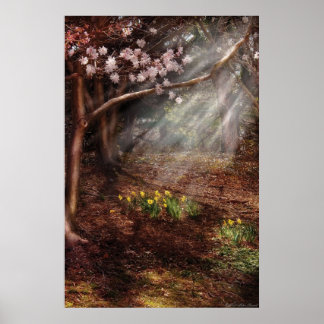 Primavera - Una señal de primavera