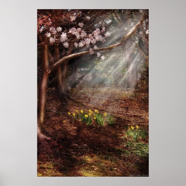 Primavera - Una señal de primavera (Frente)
