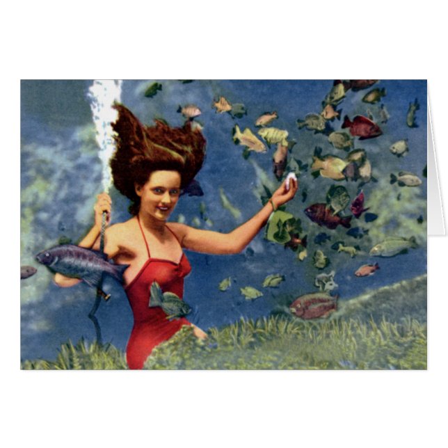 Primaveras de St Petersburg la Florida Weekiwachee (Anverso (Horizontal))