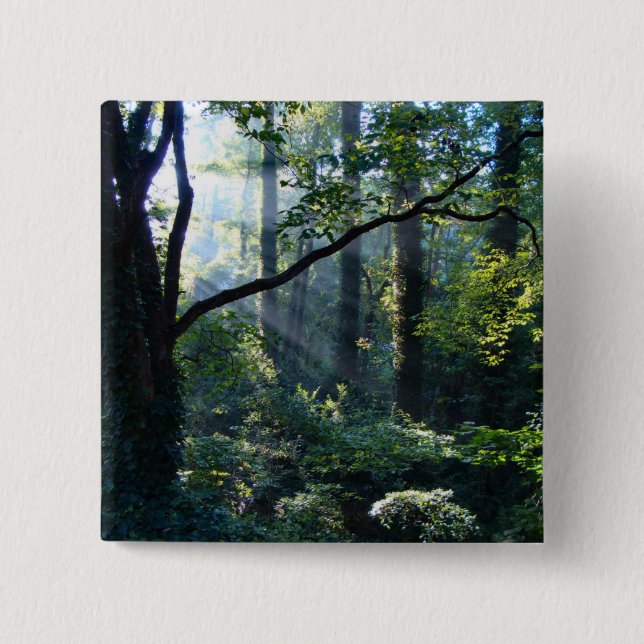 Primer botón de luz (Anverso)