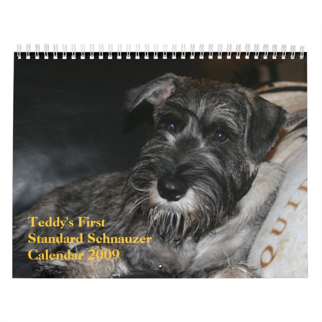 Primer calendario 2009 del Schnauzer estándar del (Tapa)