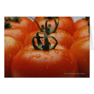 Primer de los tomates 2