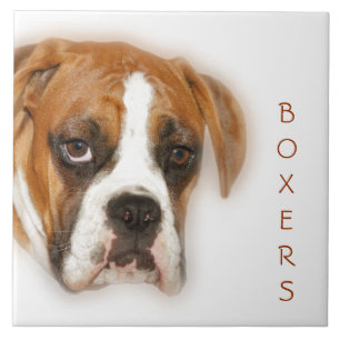 Primer de una teja Trivet del perro del boxeador