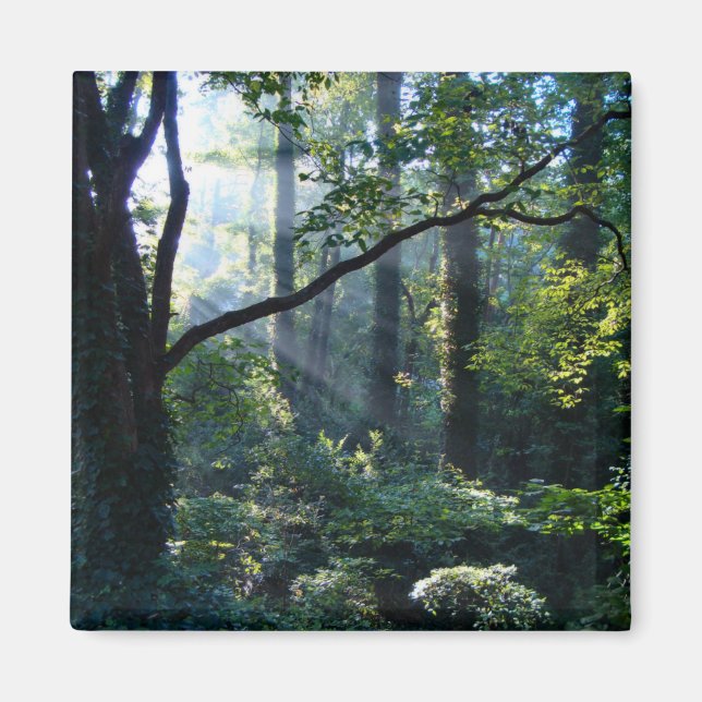 Primer imán ligero (Frente)