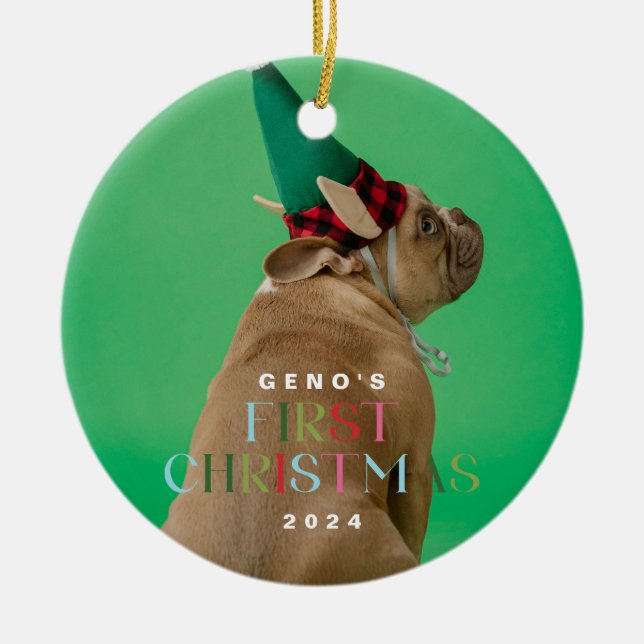 Primer ornamento de fotos de Navidad de perro masc (Frente)