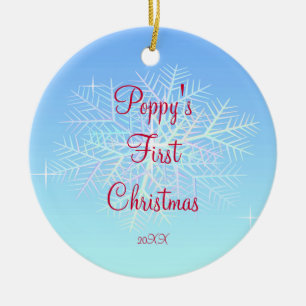 Primer ornamento del copo de nieve del navidad de