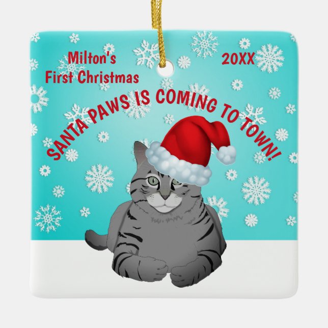 Primer ornamento del navidad del gato (Anverso)