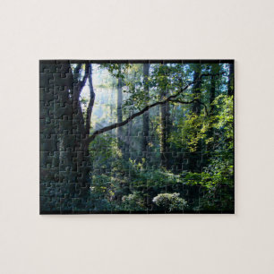 Primer rompecabezas luminoso