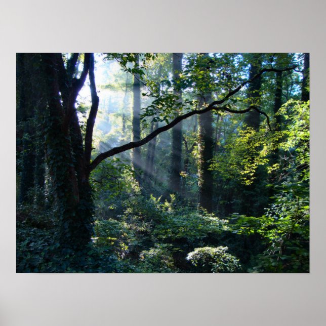 Primera impresión de luz (Frente)