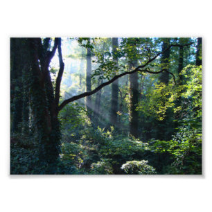 Primera impresión fotográfica