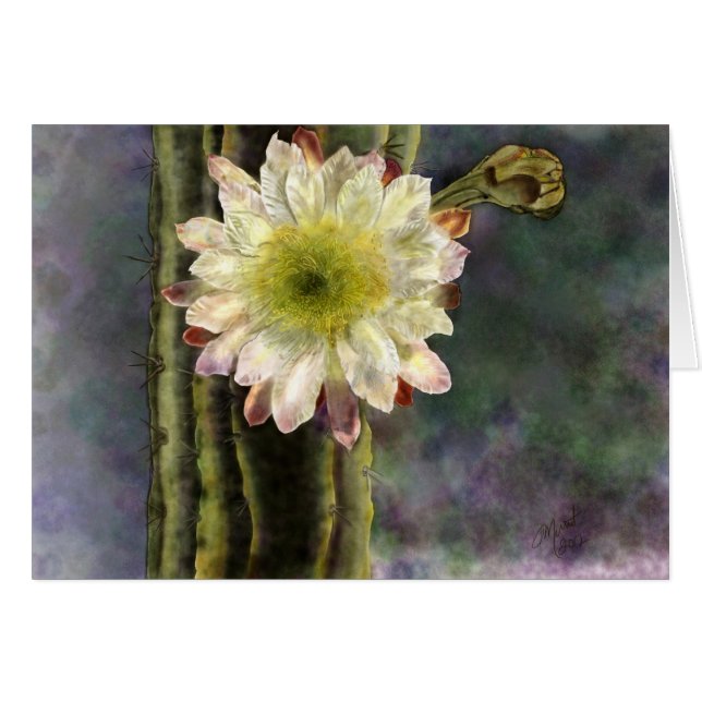 Primera luz de la mañana (Anverso (Horizontal))