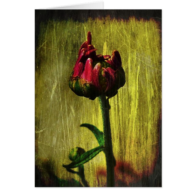 Primera mamá (Frente)