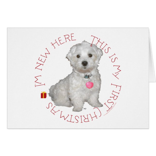 Primera Navidad de Cachorro Maltés (Anverso (Horizontal))