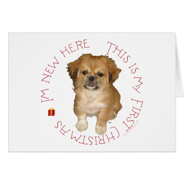 Primera Navidad de Cachorro Pequinés (Anverso (Horizontal))