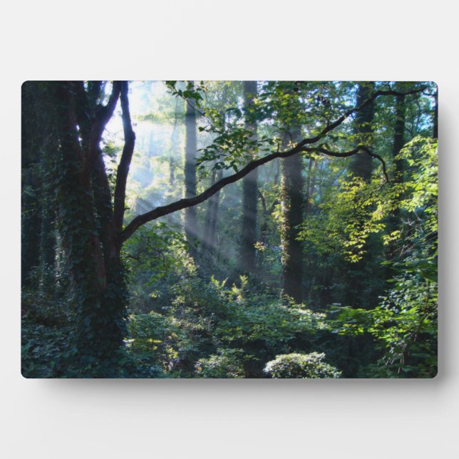 Primera placa fotográfica luminosa (Frente)