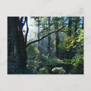 Primera postal ligera