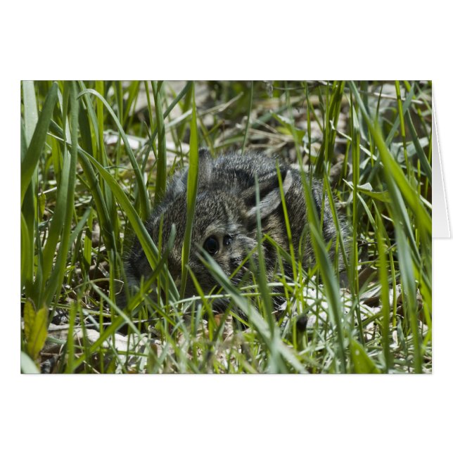 PRIMERA SALIDA (Anverso (Horizontal))