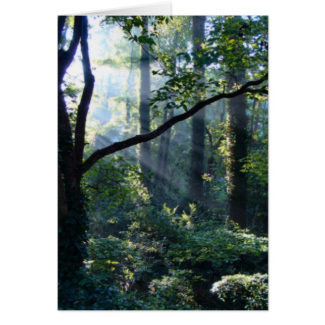 Primera tarjeta de luz (Frente)