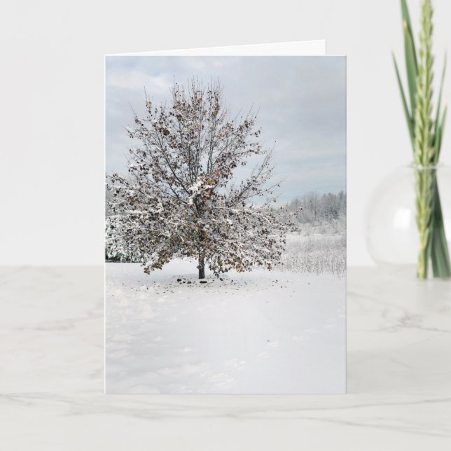 Primera tarjeta de nota en blanco para nieve (Anverso)