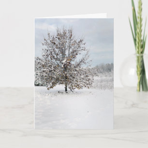 Primera tarjeta de nota en blanco para nieve
