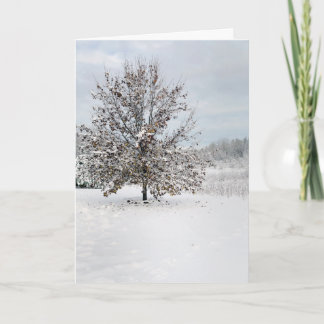 Primera tarjeta de nota en blanco para nieve