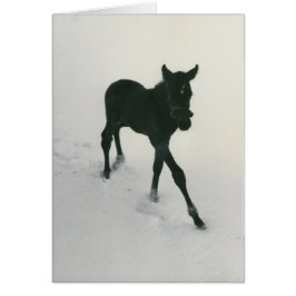 Primeros pasos en la nieve