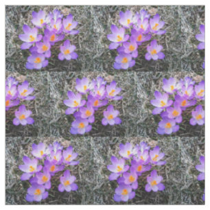 PRIMEROS RÓTULOS CROCUS DE tela de PRIMAVERA