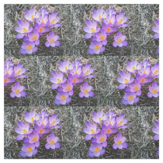 PRIMEROS RÓTULOS CROCUS DE tela de PRIMAVERA (Retal)