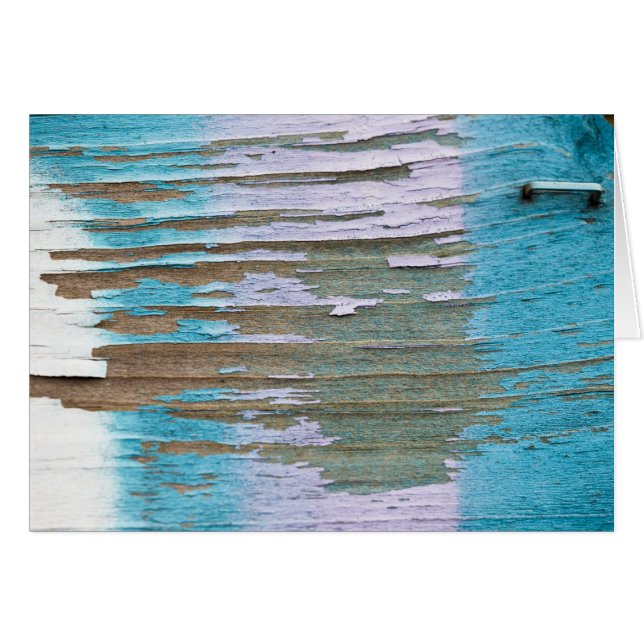 Primers 2 de la pintada (Anverso (Horizontal))