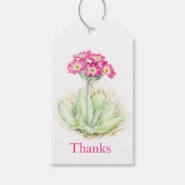 Primrose acuarela fina arte gracias a las etiqueta