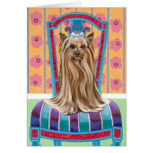 Princesa Corona Yorkie