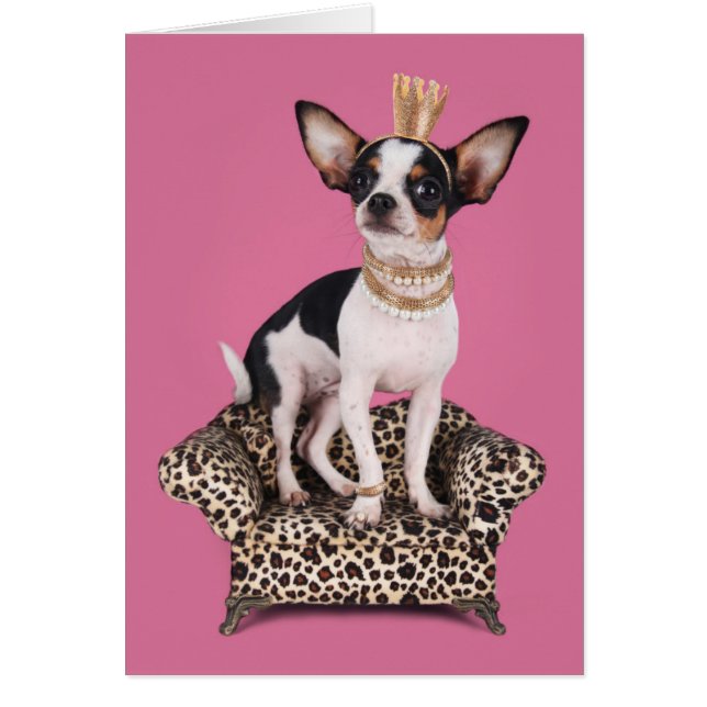 Princesa de Chihuahua (Frente)