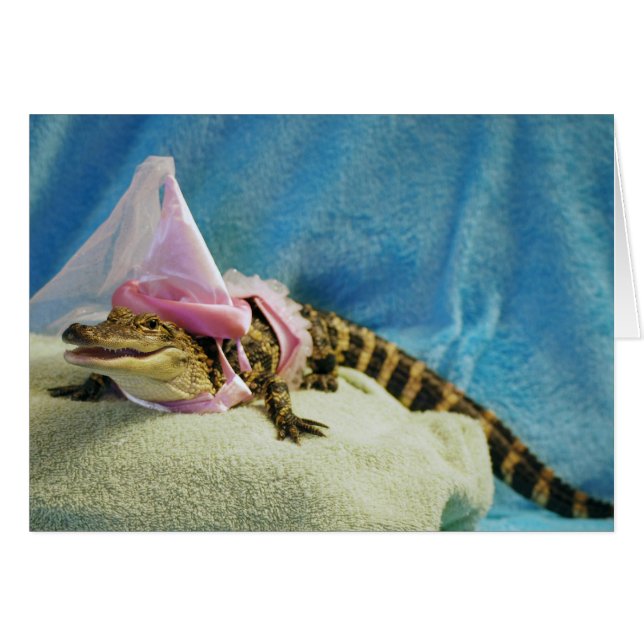 Princesa Penny Cards (Anverso (Horizontal))