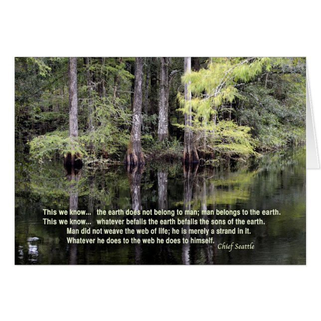 Principal Seattle sabia (Anverso (Horizontal))