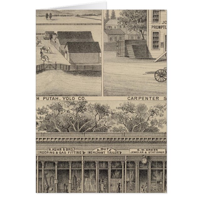 Principal St Woodland (Frente)