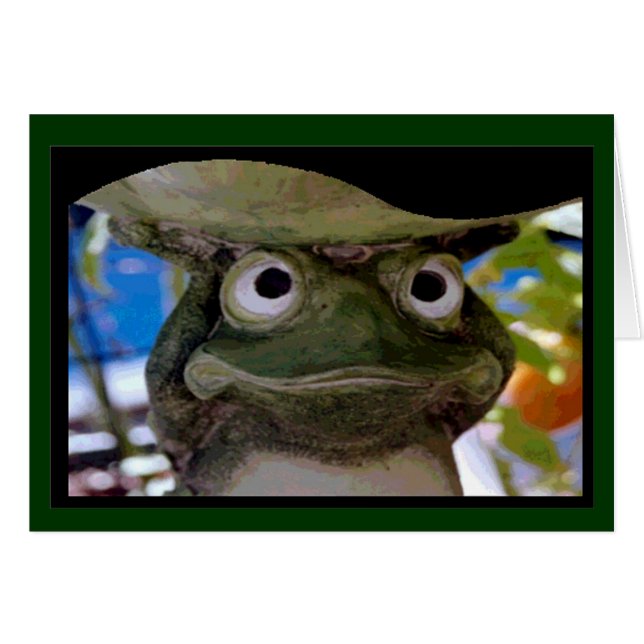 Príncipe de la rana (Anverso (Horizontal))