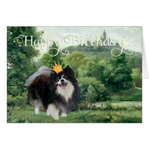 Príncipe Pomerano Negro