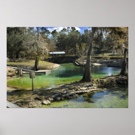 Pristina primavera en la impresión invernal