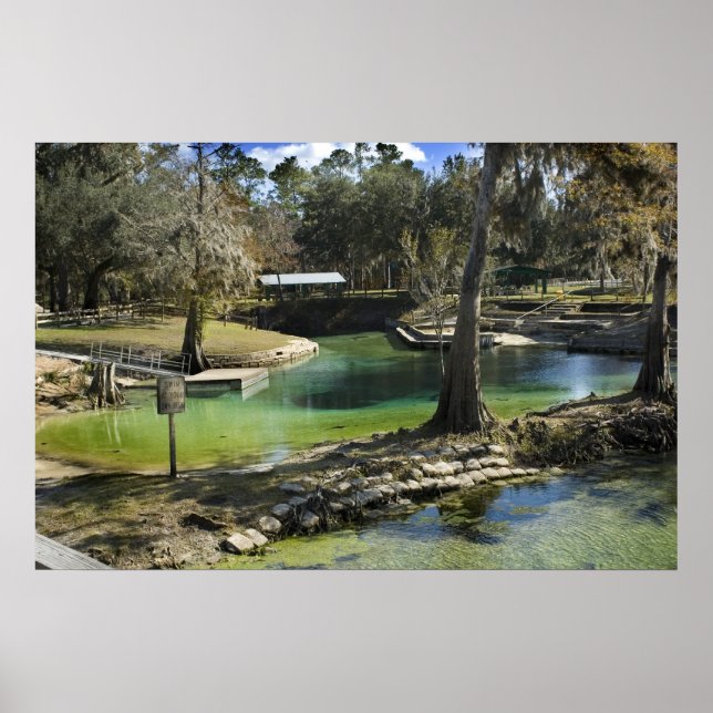 Pristina primavera en la impresión invernal (Frente)