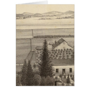 Proctor res, granja