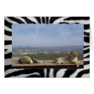 Producto de león perezoso