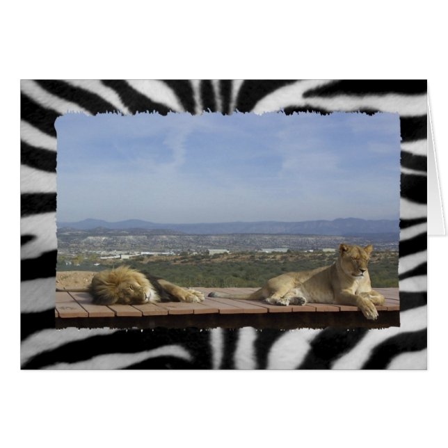 Producto de león perezoso (Anverso (Horizontal))